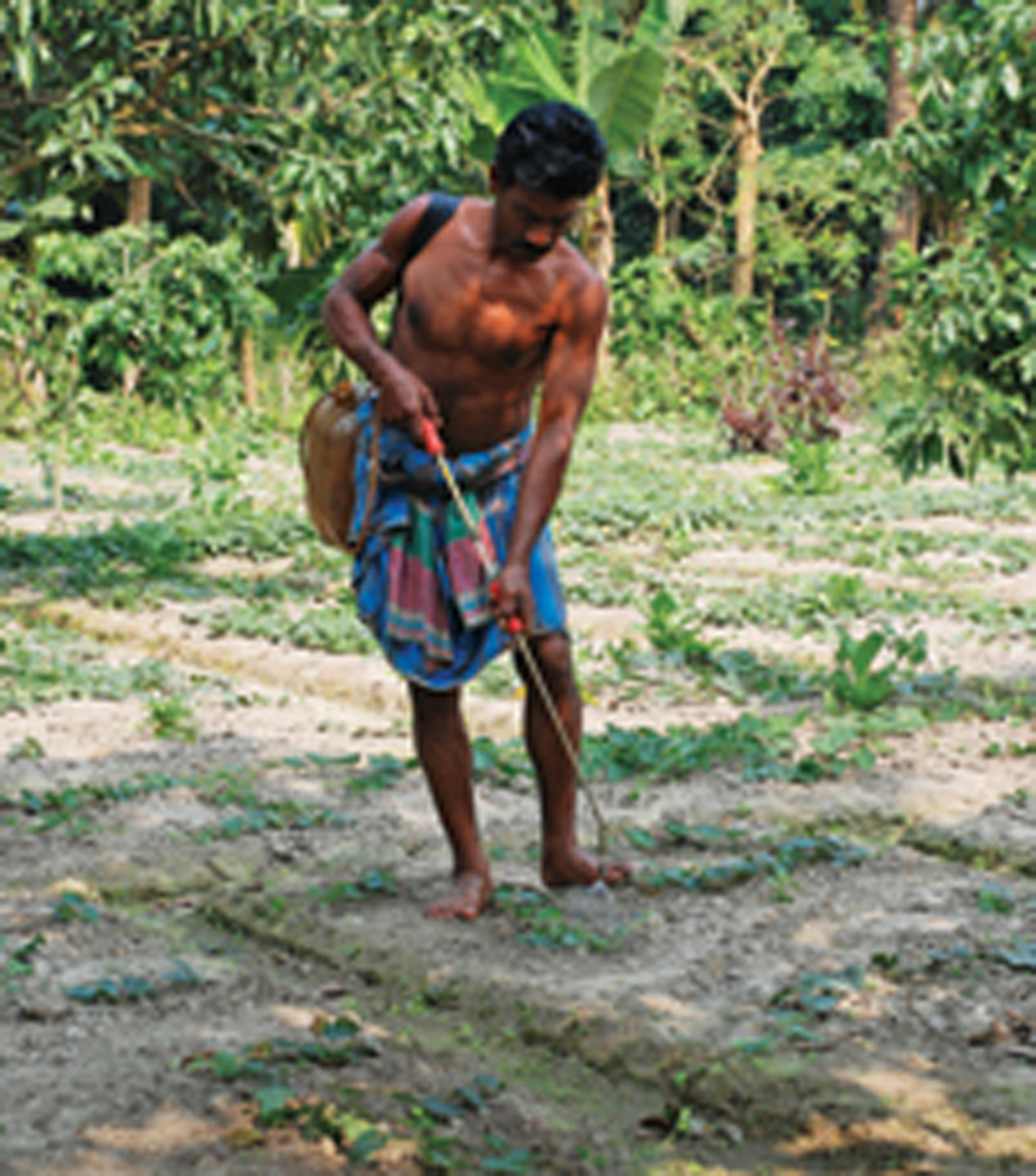 Fertilisers-Assisting Productivity